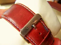 orvis watch 4.webp