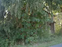 DSCF0037.webp
