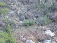 109_1685.webp