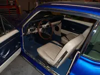 stang 004.webp