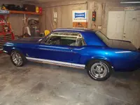 stang 001.webp