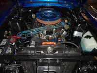 stang 002.webp