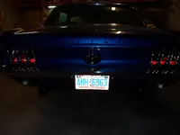 stang 003.webp