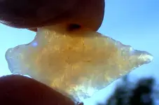 DSCF0194.webp