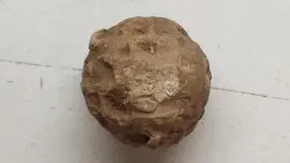 ball 2.webp