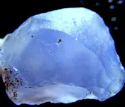 DSCF0145.webp