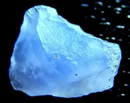 DSCF0141.webp