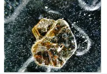 gold upclose.webp