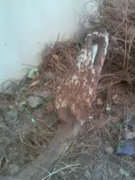 CAM00390.webp