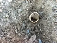 ring2.webp