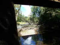 008.webp