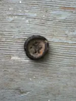image-60817980.webp