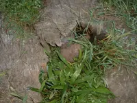 DSCF0005.webp DSCF0005.webp