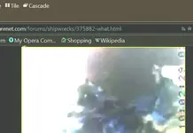 OLD MAN.webp
