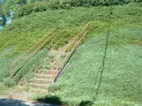 DSCF0036.webp