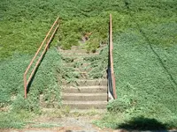 DSCF0035.webp
