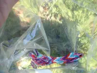 DSCF0029.webp
