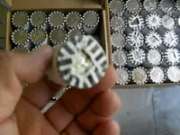 DSCN0608.webp