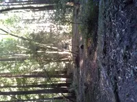 20130824_102437.webp
