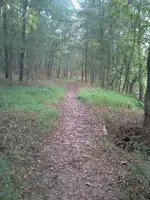 ForumRunner_20131002_150334.webp