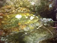 image-1690918551.webp