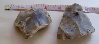 florida rocks 029.webp