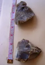florida rocks 003.webp