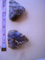 florida rocks 008.webp