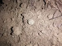 DSCF0933.webp