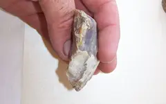 florida rocks 017.webp