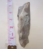 florida rocks 018.webp