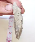 florida rocks 021.webp