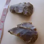 florida rocks 027.webp