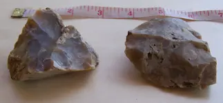florida rocks 028.webp