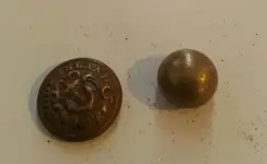 Rhode Island Button.webp