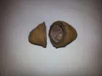 20131002_160921.webp