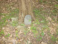 end aug 1 001.webp
