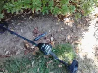 ROSEGARDEN2.webp