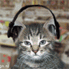 Rap Cat.gif Rap Cat.gif