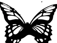 51 butterfly.webp 51 butterfly.webp