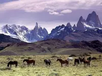 Annalisa Parisi-Wikicommons license Fitz Roy Horses.webp