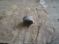 pp finds 9-15-13 033.webp