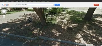 canvas.webp
