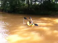 image-3404786257.webp