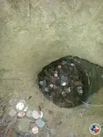 cache-5gallon-6.webp cache-5gallon-6.webp