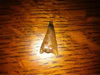 image-111276507.webp