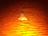 image-821852393.webp