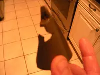 013.webp 013.webp
