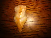image-3893731864.webp