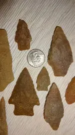 DSC00877 (640x360).webp